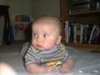 IM001053.jpg (68kb)