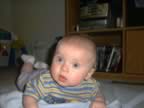 IM001058.jpg (70kb)
