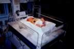 nicu11.jpg (90kb)