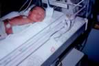 nicu6.jpg (71kb)